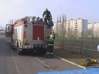 1sd.gif