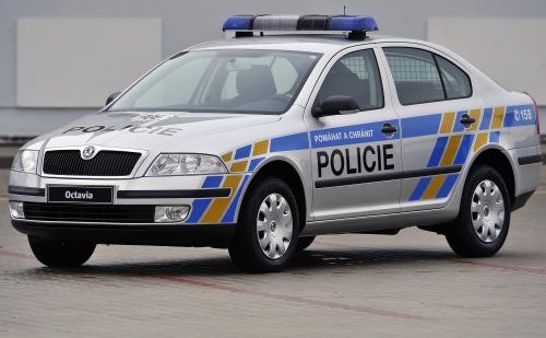 1225376261_policie.jpg