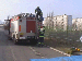 1sd.gif